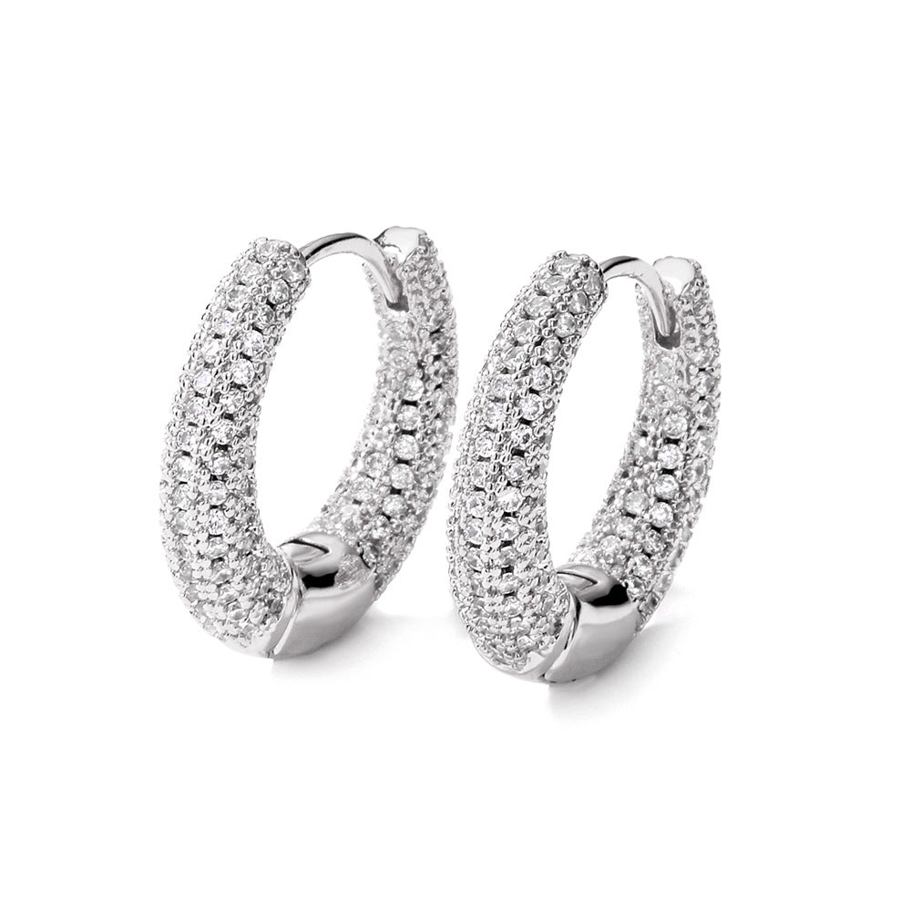 Women's Affordable Luxury Fashion Zircon Earrings - RareGloo