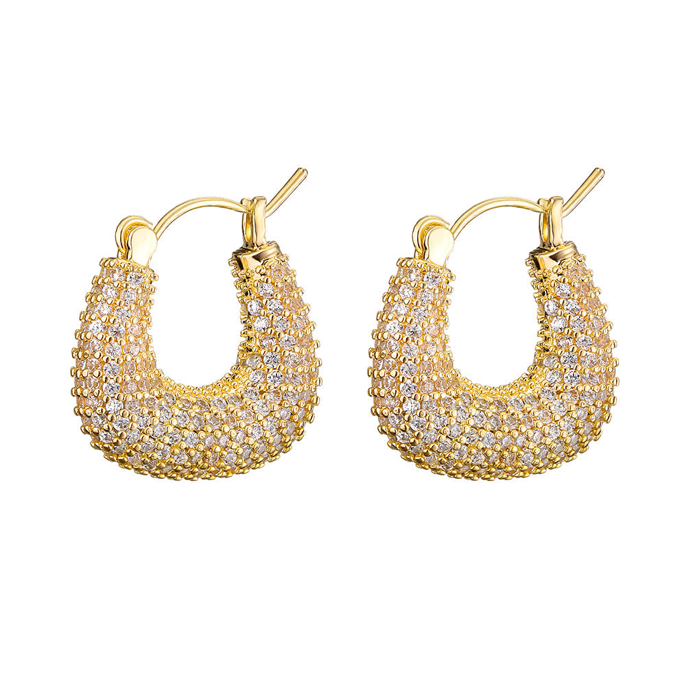 Women's Affordable Luxury Fashion Zircon Earrings - RareGloo