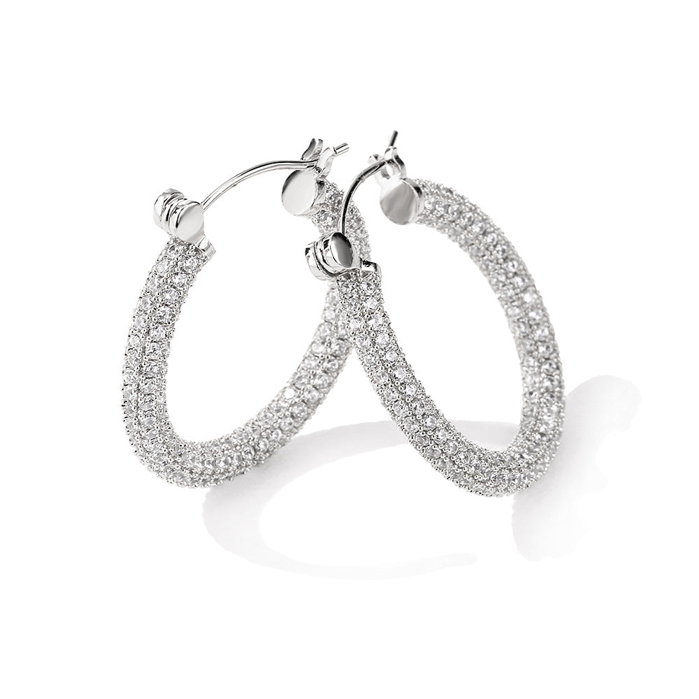 Women's Affordable Luxury Fashion Zircon Earrings - RareGloo