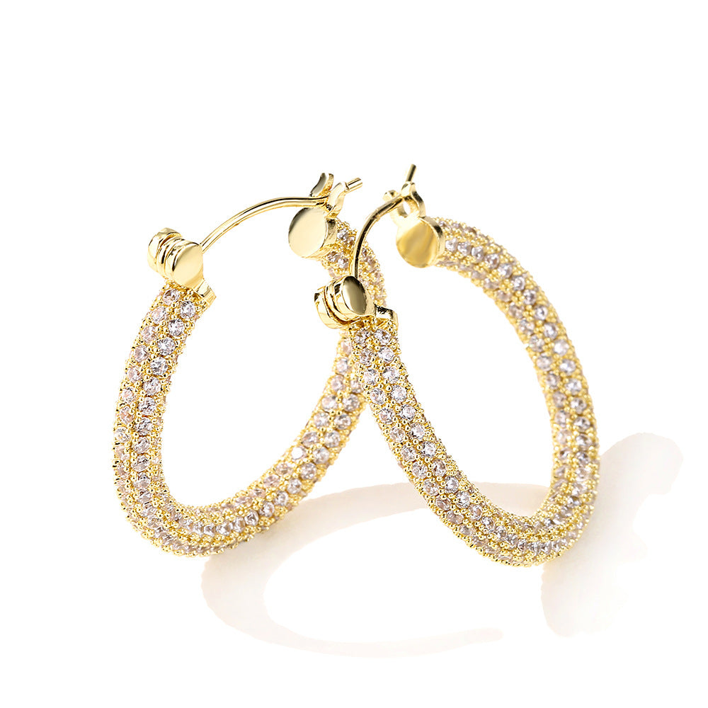 Women's Affordable Luxury Fashion Zircon Earrings - RareGloo
