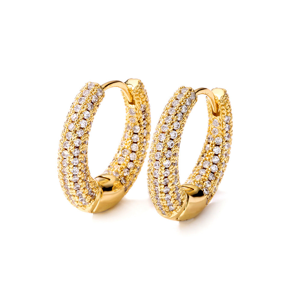 Women's Affordable Luxury Fashion Zircon Earrings - RareGloo