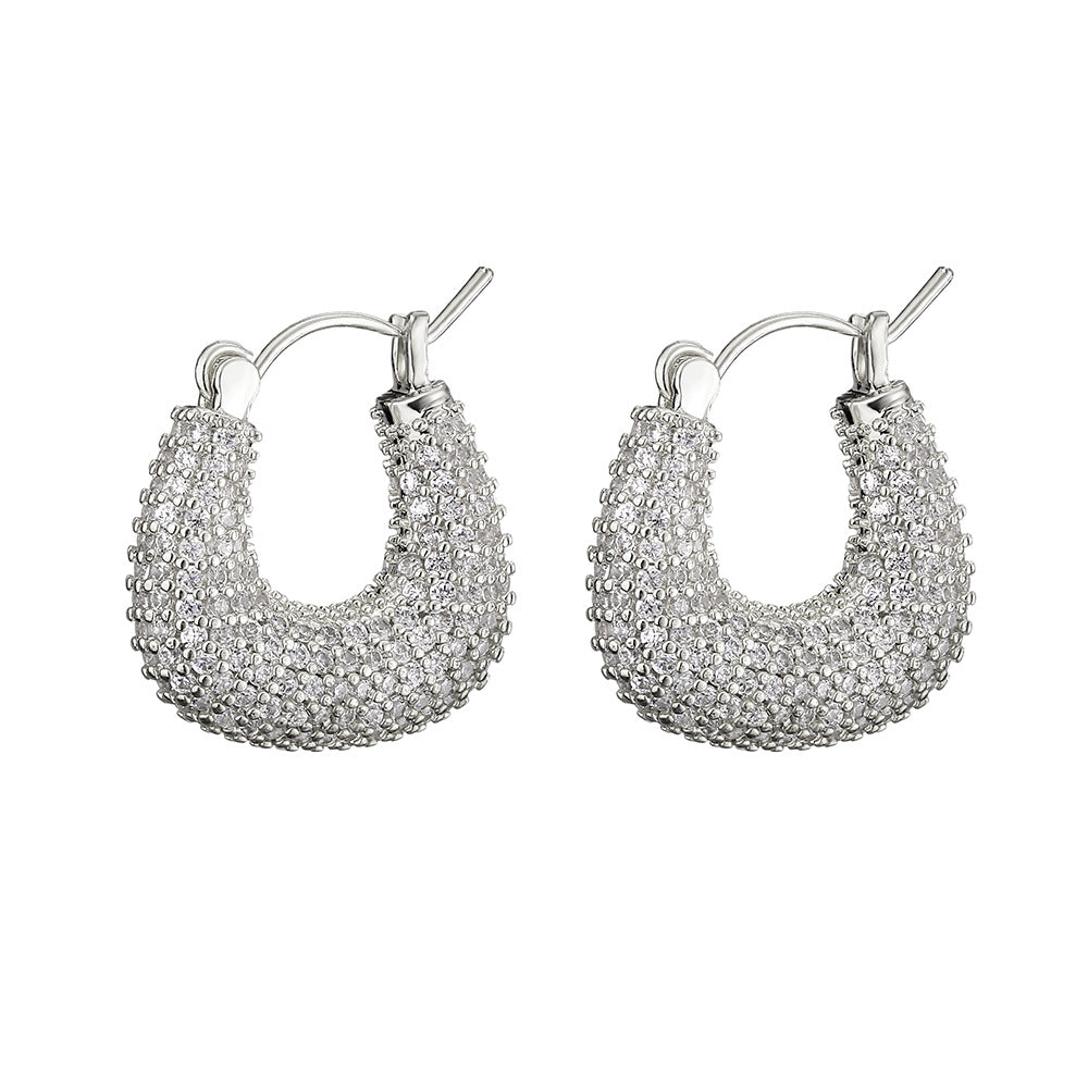 Women's Affordable Luxury Fashion Zircon Earrings - RareGloo
