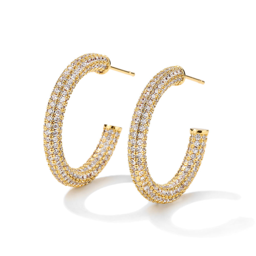 Women's Affordable Luxury Fashion Zircon Earrings - RareGloo